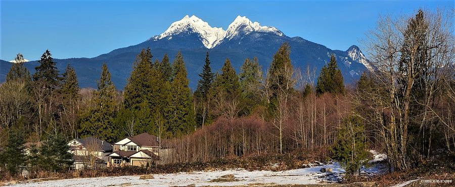 Golden Ears Mountain - Maple Ridge Photograph by Sonja Peterson ...