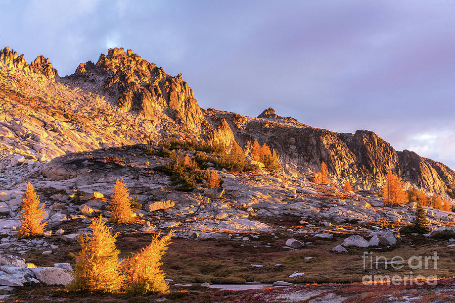 Golden Enchantments Morning Photograph by Mike Reid