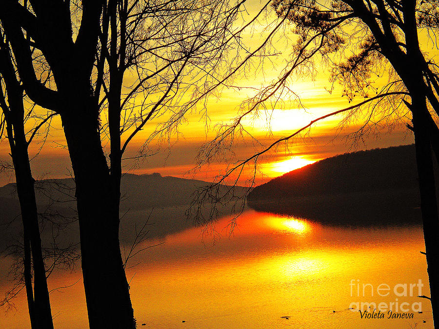 Sunset Photograph - Golden Energy by Violeta Ianeva