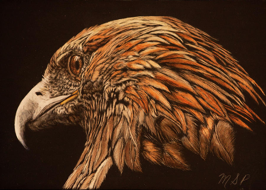 Golden Eye Painting by Margaret Sarah Pardy