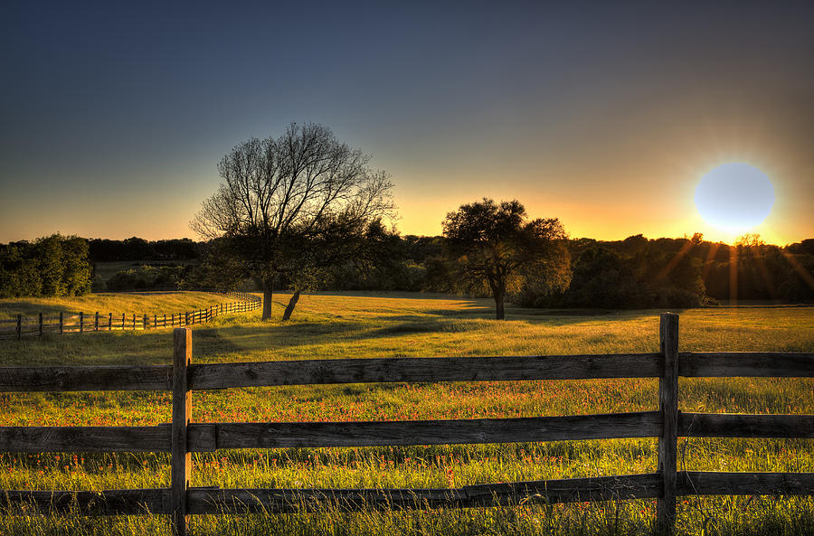 Golden Field Photograph by Mike Harlan - Fine Art America