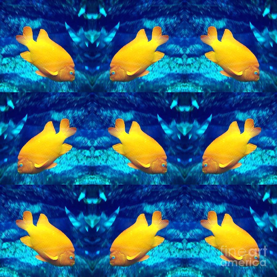 Golden Fish Mirage Photograph by Susan Garren