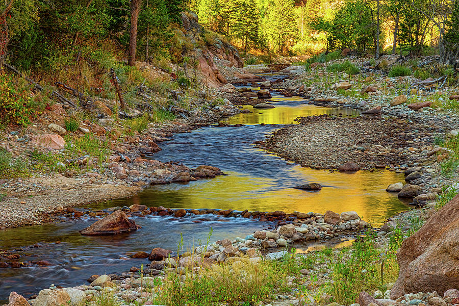 Golden Fishing Stream Photograph by James BO Insogna