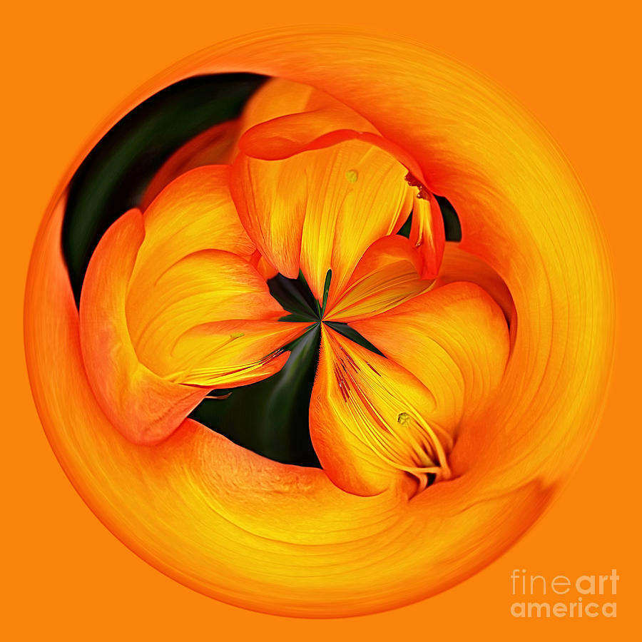 Lily Photograph - Golden Floral Spherical Art by Kaye Menner by Kaye Menner
