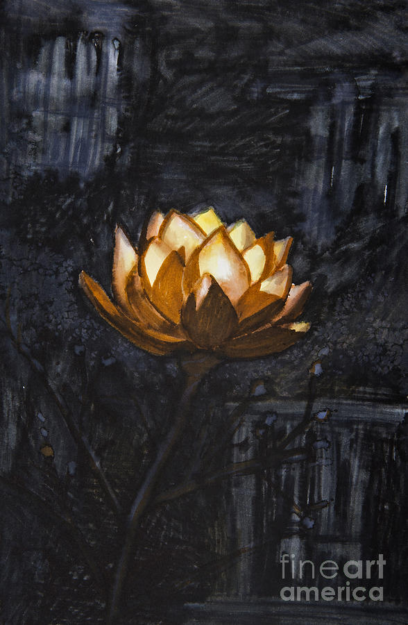 Flowers Still Life Photograph - Golden flower on black background by Tara Thelen