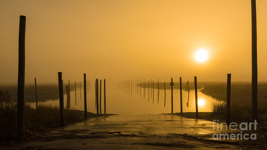 Golden Fog on the Nissequogue Photograph by Alissa Beth Photography