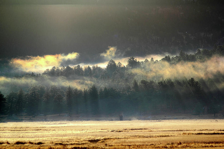 Golden Fog Photograph by Shane Bechler