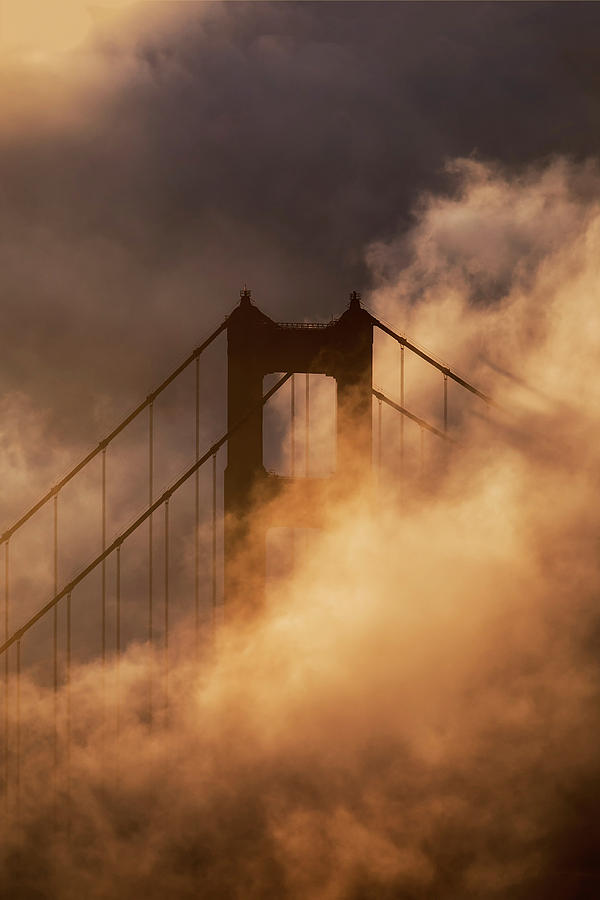 Bridge Photograph - Golden Fog Light Swarm by Vincent James