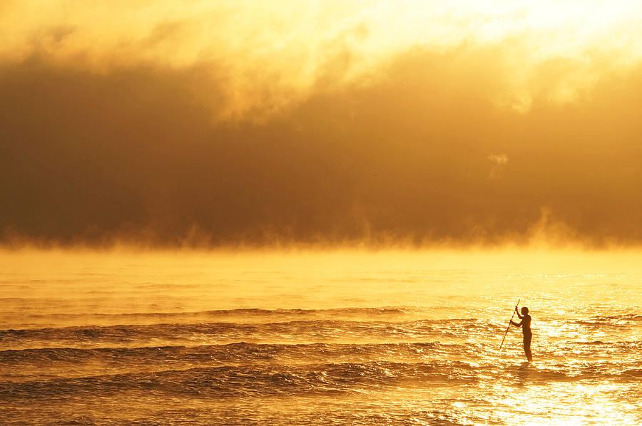 Golden Fog Paddle Boarder Photograph by Lawrence S Richardson Jr