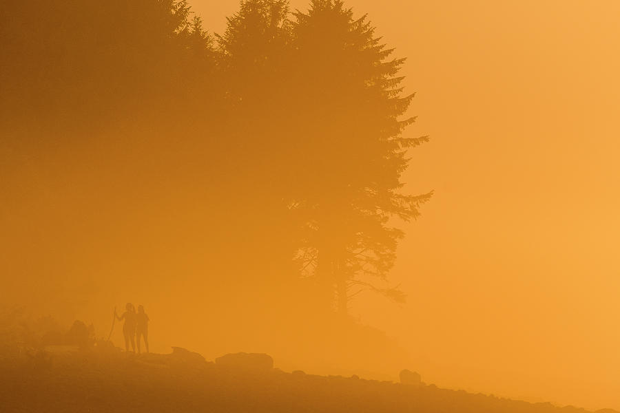 Golden Fog Photograph by Robert Potts