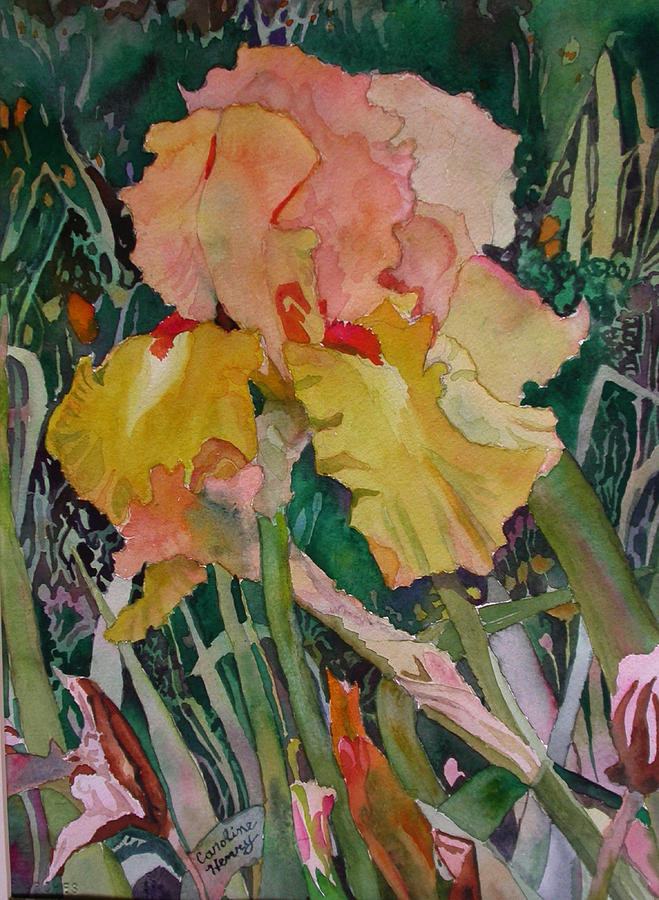 Golden Garden Iris Painting by Caroline Henry