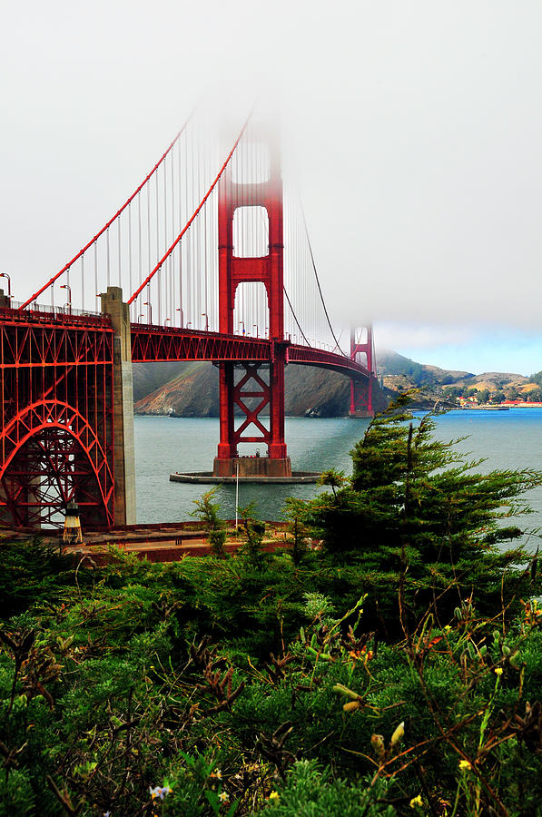 San Francisco Photograph - Golden Gate by Amy Dooley