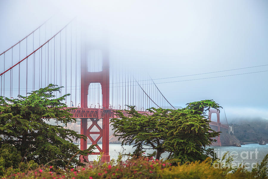 Golden Gate Bridge Photograph by Benny Marty