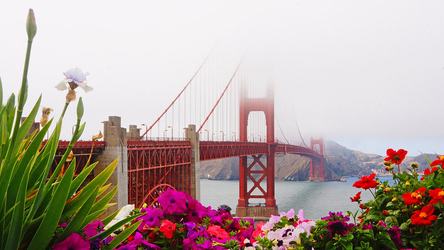 Golden Gate Bridge Flowers 2 Photograph by Lawrence S Richardson Jr