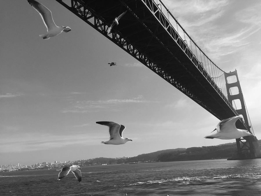 Golden Gate Bridge Photograph - Golden Gate Bridge by Product Pics