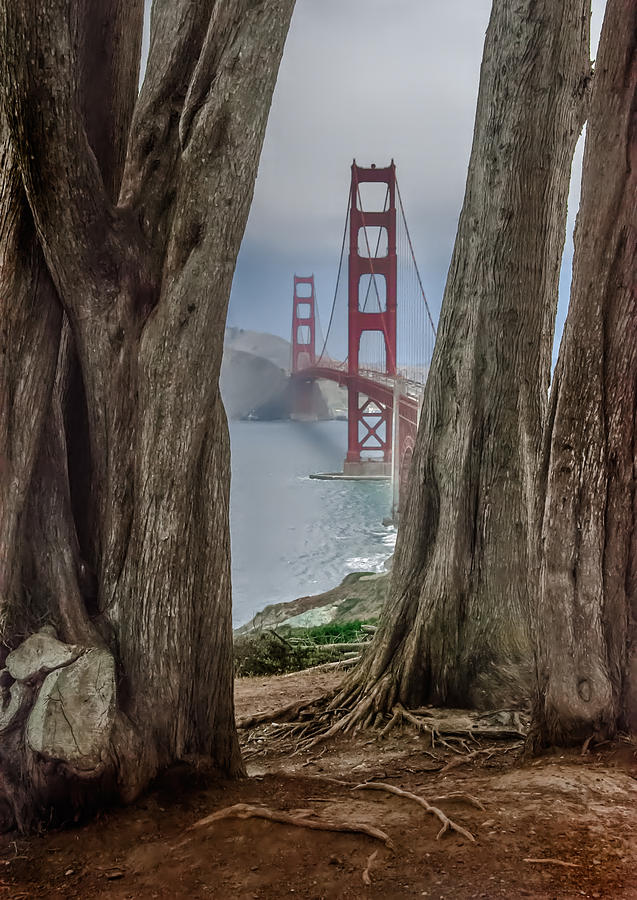 Golden Gate Bridge Photograph by Patrick Boening