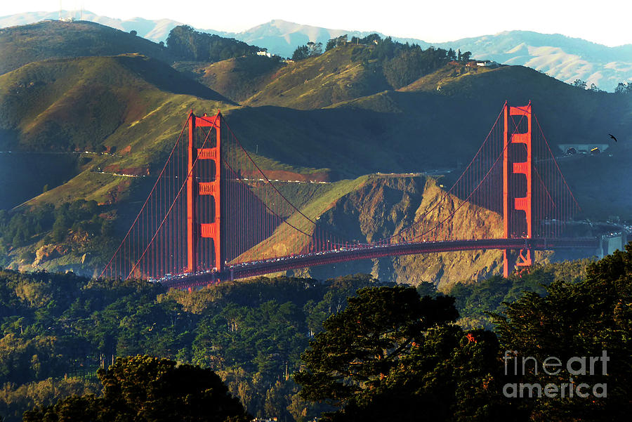 Golden Gate Bridge Photograph by Steven Spak