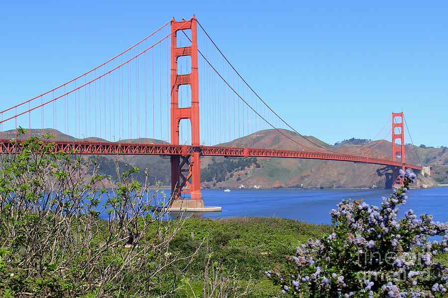 Golden Gate Bridge Photograph by Suzanne Oesterling