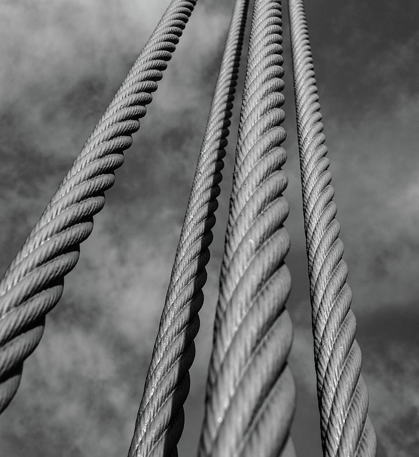 Golden Gate Cables Photograph by Rand Ningali