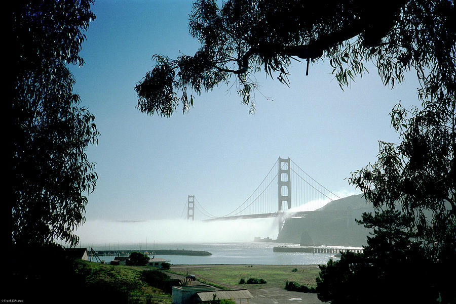 Golden Gate Fog  Photograph by Frank DiMarco