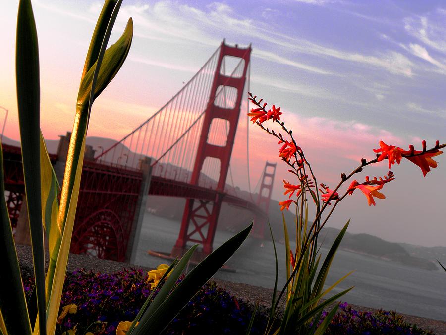 Bridge Photograph - Golden Gate Garden View by Elizabeth Hoskinson