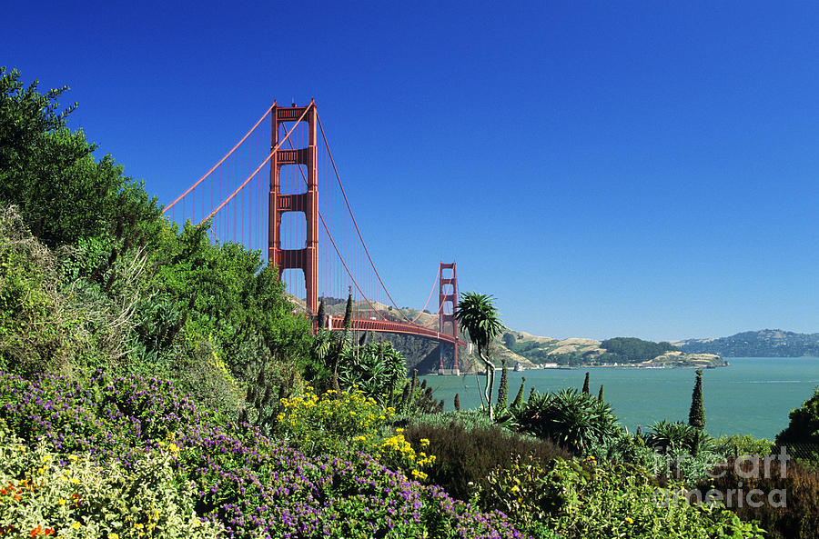 Golden Gate Landscape Photograph by William Waterfall - Printscapes