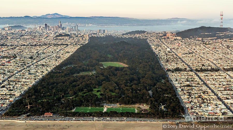 Golden Gate Park in San Francisco Aerial Photo Photograph by David Oppenheimer