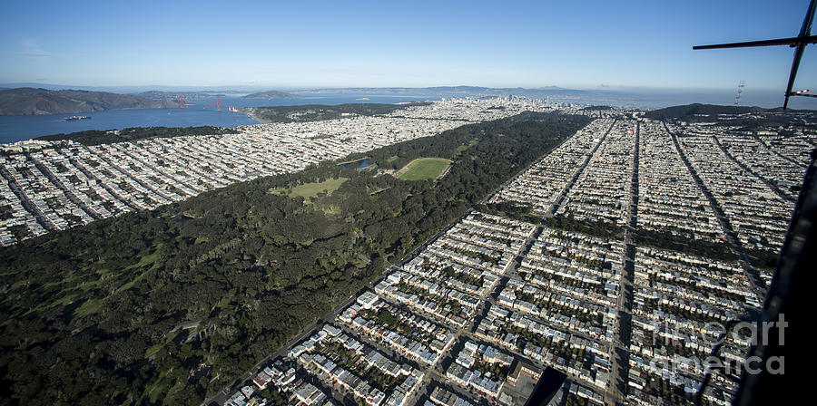 Golden Gate Park in San Francisco Aerial Photo Photograph by David Oppenheimer