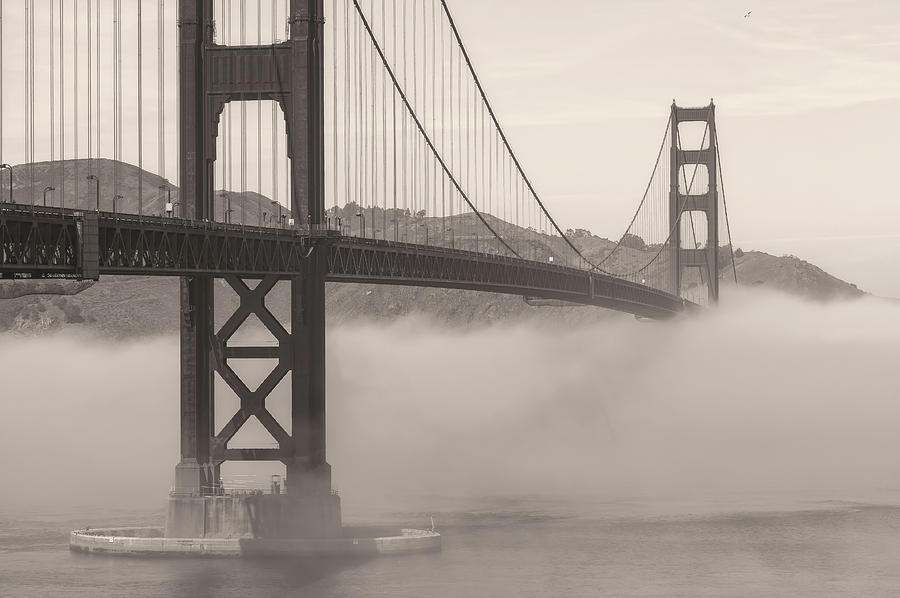 Golden Gate Sepia Photograph by Jonathan Nguyen