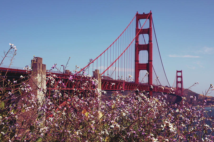 Golden Gate Photograph by J C