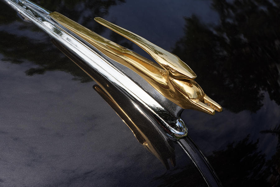 Golden Gazelle -- Chevrolet Hood Ornament at Paso Robles Classic Car Show, California Photograph by Darin Volpe