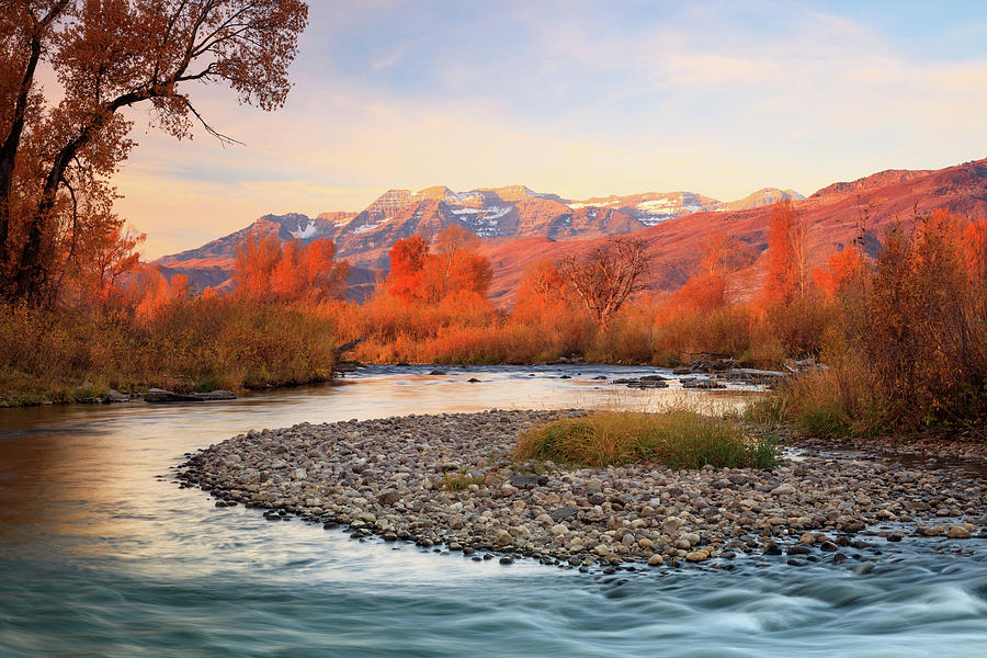 Bend Photograph - Golden glow at the Provo River. by Wasatch Light