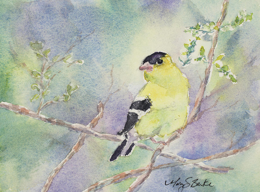 Finch Painting - Golden Glow by Mary Benke