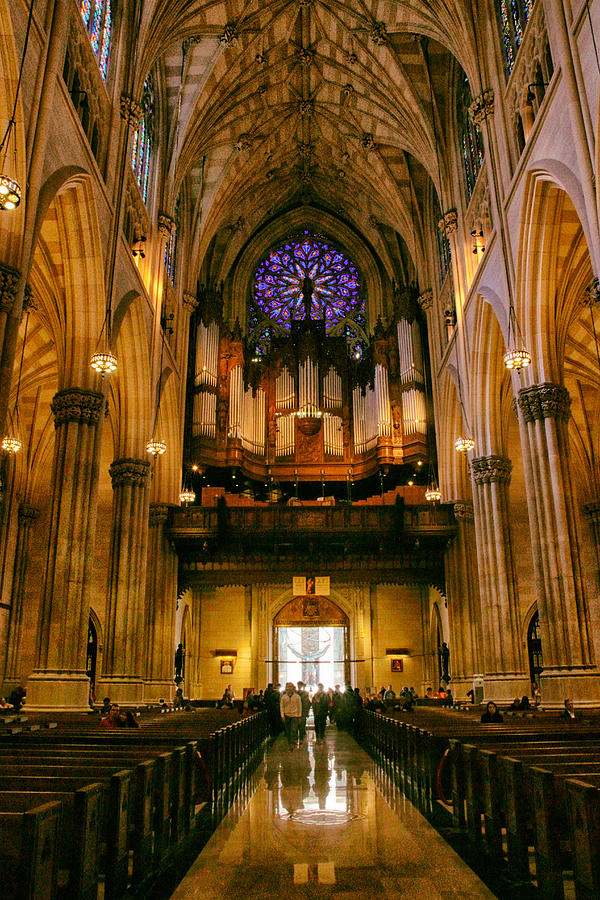 Golden Glow of St. Patricks Cathedral Photograph by Jessica Jenney