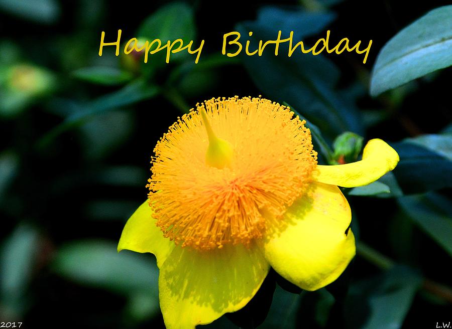 Golden Guinea Happy Birthday Photograph by Lisa Wooten