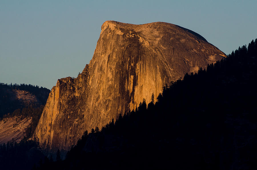 Yosemite National Park Photograph - Golden Half Dome by Ingo Scholtes