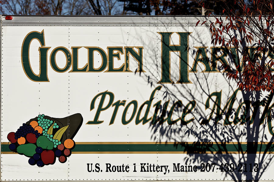 Golden Harvest Photograph by Mark Alesse