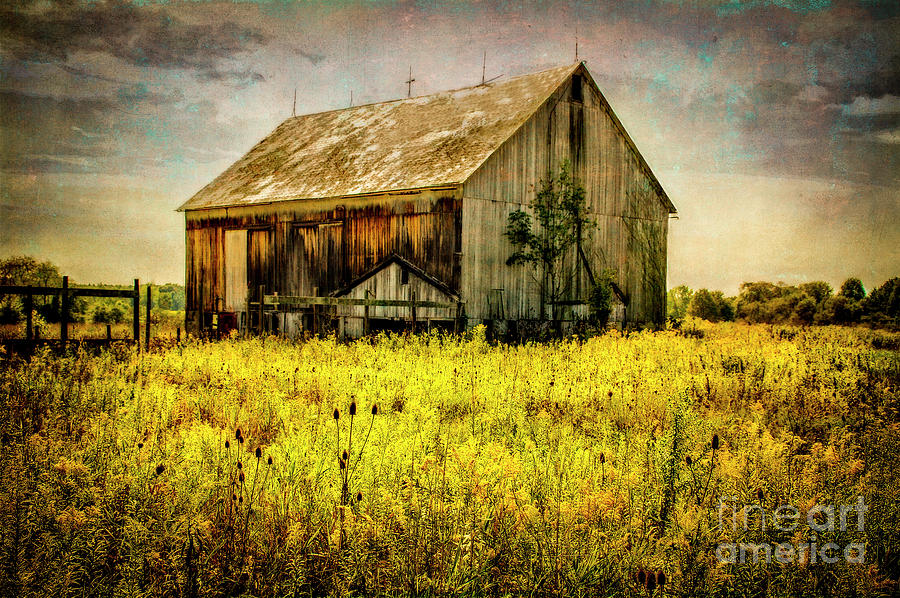 Golden Harvest Photograph by Robert Gardner - Fine Art America