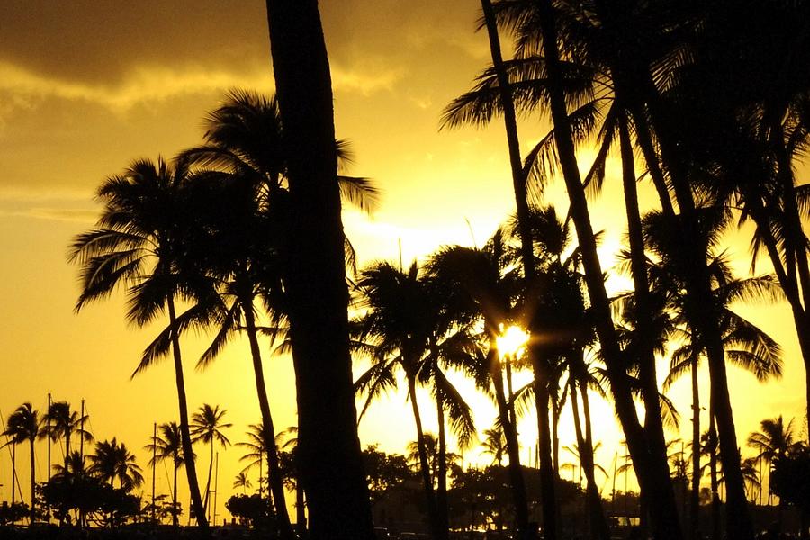 Golden Hawaiian Sunset Photograph by Klint Arnold - Fine Art America