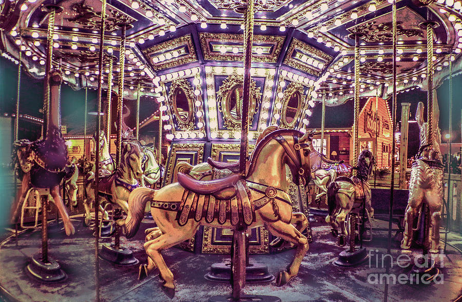 Golden Hobby Horse Photograph by Sandy Moulder