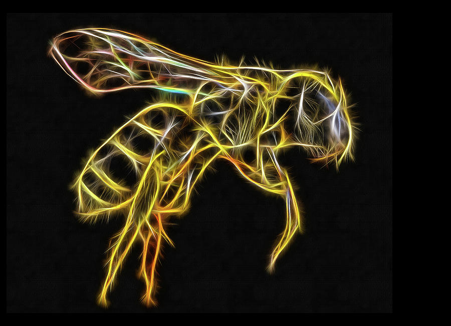 Golden honey bee fractalized Digital Art by Matthias Hauser
