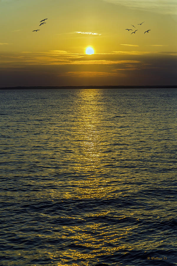 Sunset Photograph - Golden Horizon by Brian Wallace