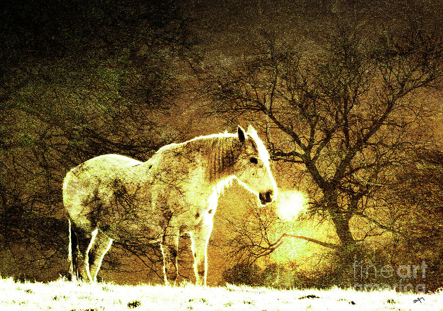 Golden Horse Mixed Media By Callan Art
