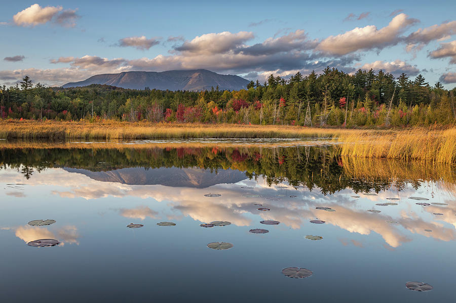 Golden hour at Compass Pond Photograph by Colin Chase