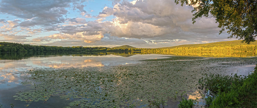 Golden Hour At Wickham Lake Panorama Photograph by Angelo Marcialis