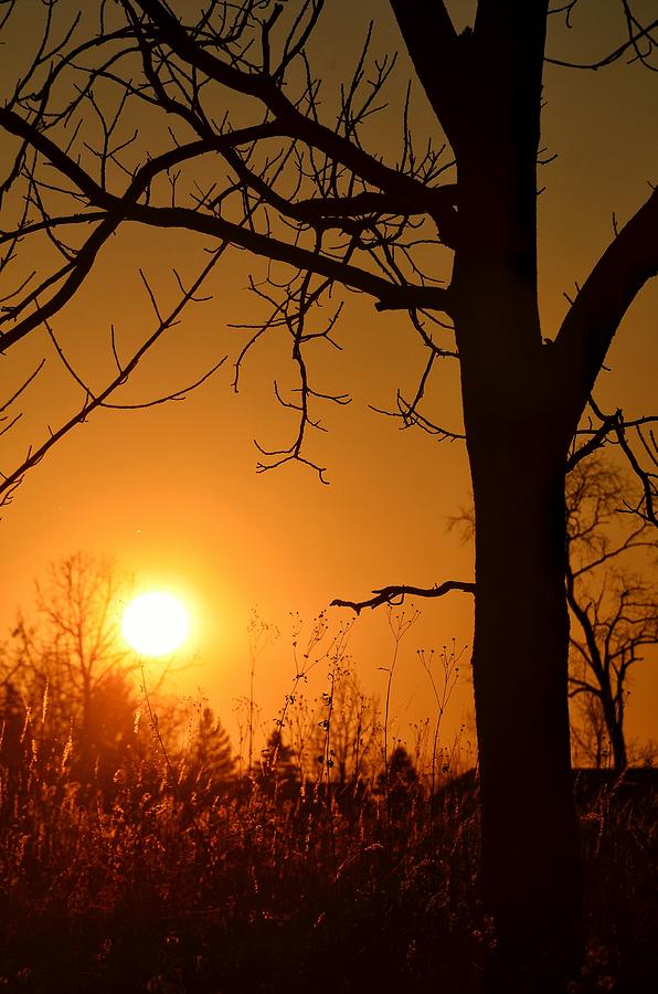 Sunset Photograph - Golden Hour Daydreams by Nikki Watson    McInnes