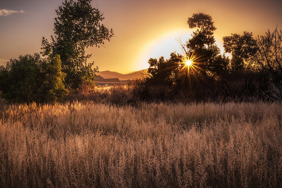 Golden Hour by Janice Bennett Golden Hour by Janice Bennett