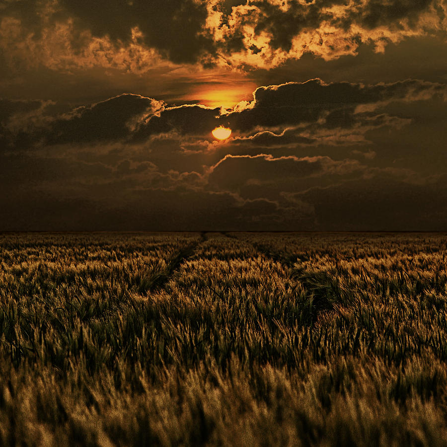 Sunset Photograph - Golden Hour by Joachim G Pinkawa
