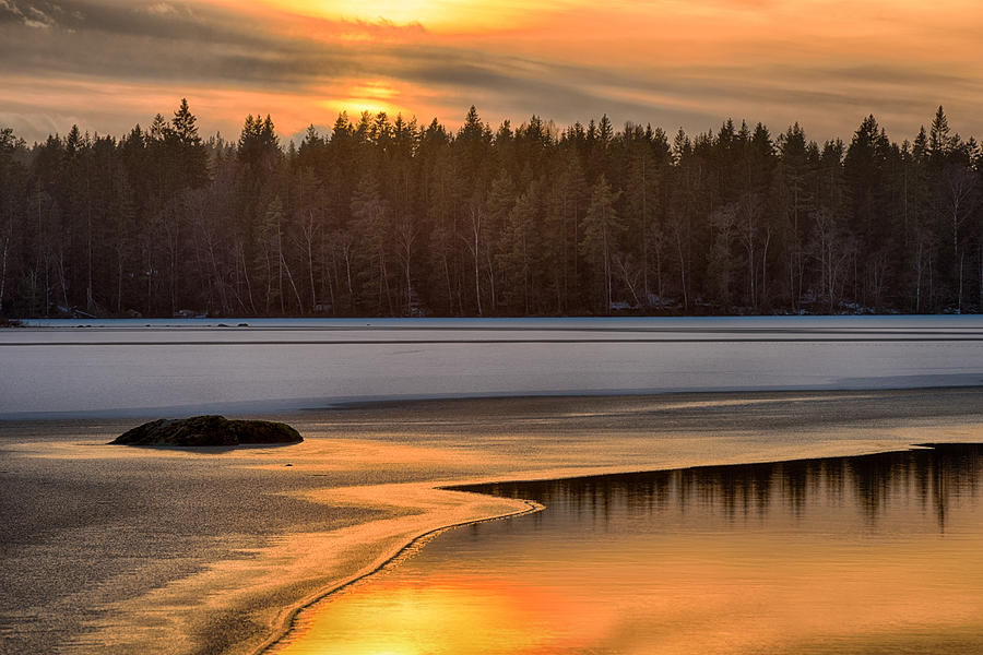 Winter Photograph - Golden hour by Leif Bolding
