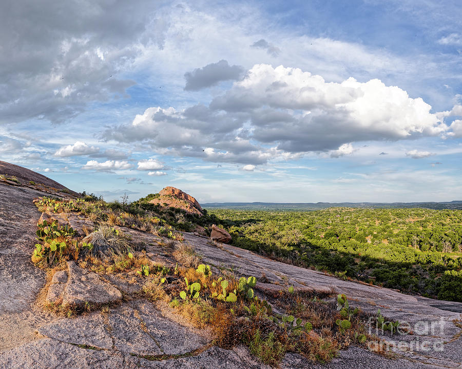 Golden Hour Light on Turkey Peak and Prickly Pear Cacti - Enchanted Rock Fredericksburg Hill Country Photograph by Silvio Ligutti